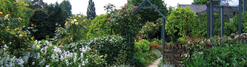 Cotswolds, watermill, garden, mill pond, Cream tea, RHS, Blockley, Plants to buy, Father Brown, RHS Partner Garden