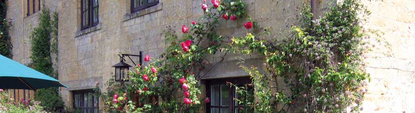 Milledeneheader5